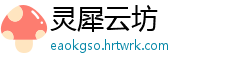 灵犀云坊